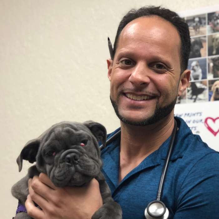 Dr. Carl Ansara<br />
