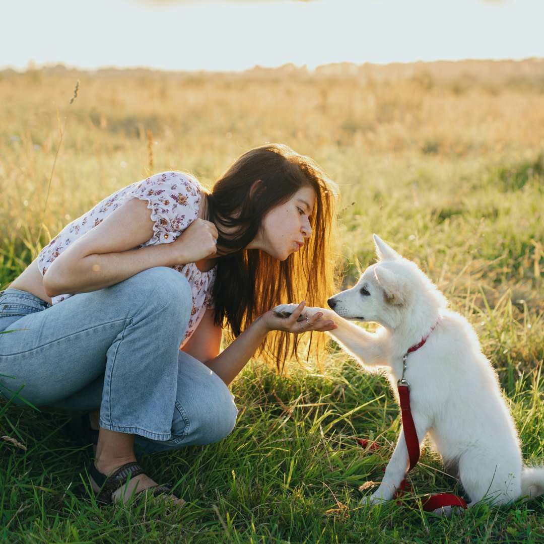 Girl giving dog a paw