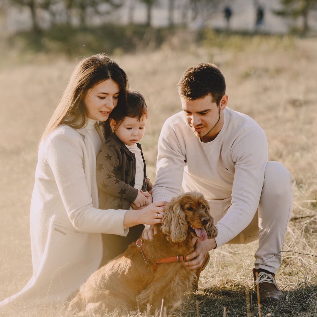 Happy family in the field